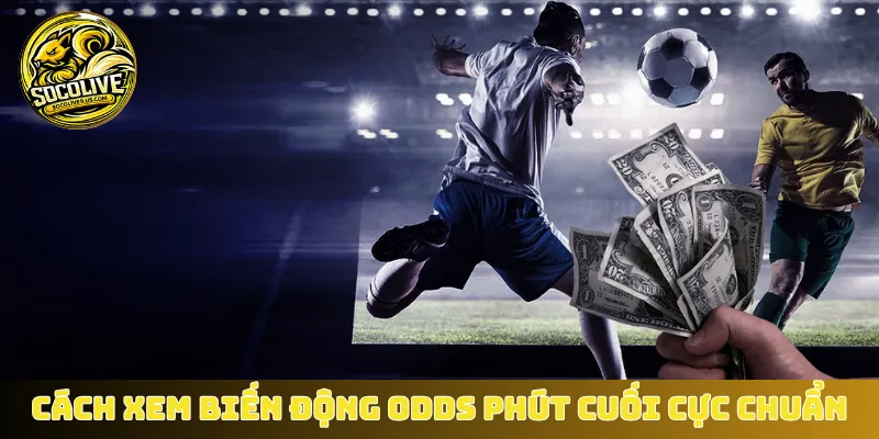 Cách xem biến động Odds phút cuối cực chuẩn